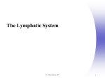Chapter 20, Lymphatic System - An