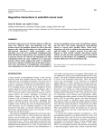 Regulative interactions in zebrafish neural crest