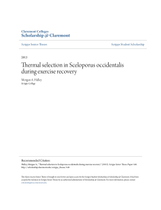 Thermal selection in Sceloporus occidentalis during exercise recovery