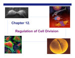 Chapter 12. Regulation of Cell Division