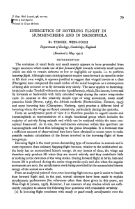 energetics of hovering flight in hummingbirds and in