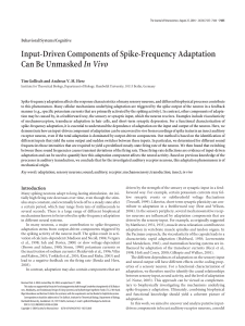 Input-driven components of spike-frequency adaptation can be