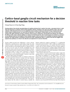 Cortico–basal ganglia circuit mechanism for a decision threshold in