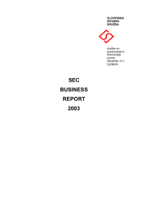 sec business report 2003