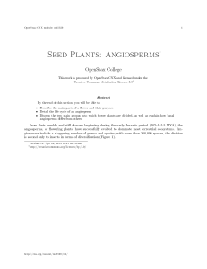 Seed Plants: Angiosperms