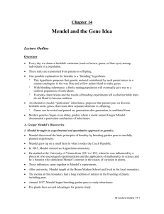 CHAPTER 14 MENDEL AND THE GENE IDEA