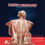 Learn with BODY WORLDS - Science Center of Iowa
