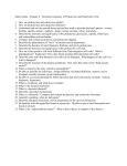 Study Guide—Chapter 4: Functional Anatomy of Prokaryotic and