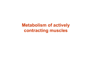 Muscle contraction