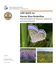 CRP-SAFE for Karner Blue Butterflies