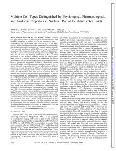 Multiple Cell Types Distinguished by Physiological