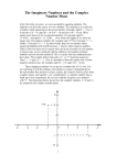 The Imaginary Numbers and the Complex