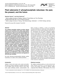 Plant adenosine 59-phosphosulphate reductase: the past, the