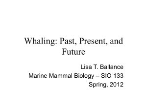 Whaling: Past, Present, and Future