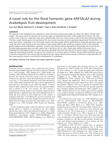 A novel role for the floral homeotic gene APETALA2