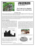 The Trade in Live Reptiles: Imports to the United States