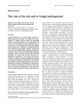 The role of the cell wall in fungal pathogenesis