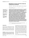 Metabolism of sucrose and its five isomers by