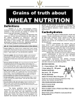 Wheat Nutrition