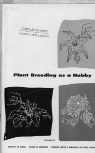 Plant Breeding as a Hobby