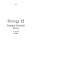 Biological Molecules Review Questions 2015