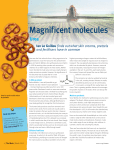 Magnificent molecules