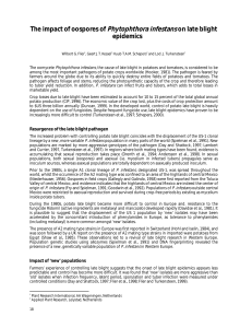 The impact of oospores of Phytophthora infestans on late blight