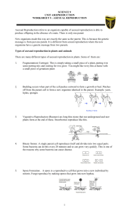 SCIENCE 9 UNIT 4:REPRODUCTION WORKSHEET 5