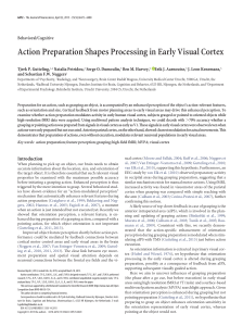 Action Preparation Shapes Processing in Early Visual Cortex