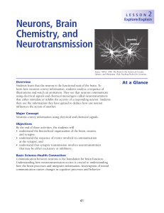 Neurons, Brain Chemistry, and Neurotransmission