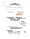 Z202 Unit02 Lecture