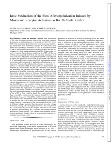 Ionic Mechanism of the Slow Afterdepolarization Induced by