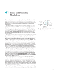 41 Purine and Pyrimidine Metabolism