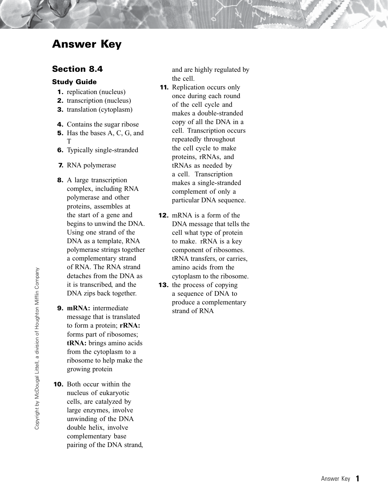 Chapter 8 From Dna To Proteins Vocabulary Answers - ProteinWalls