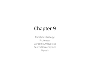 Chapter 9 - FIU Faculty Websites