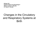 Changes in the Circulatory and Respiratory Systems at Birth