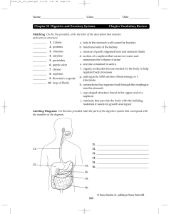 Chapter 38 Digestive and Excretory Systems Chapter