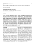 Sclerotome development and peripheral nervous system