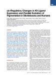 kit ligand evolution in sticklebacks and humans