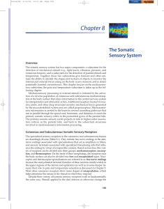 Purves ch. 8 + Kandel ch. 23 - Weizmann Institute of Science