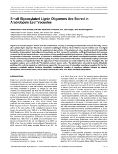 Small Glycosylated Lignin Oligomers Are Stored in