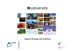 Levels of Biodiversity