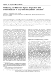 Producing the Ethylene Signal: Regulation and