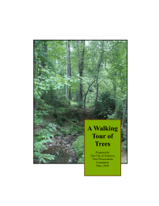 Tree Walk Booklet_final