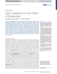 Open Questions on the Origin of Eukaryotes