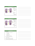 Linear Electron Flow (PS I)