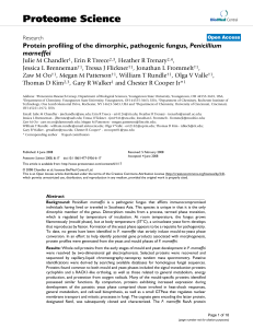 Protein profiling of the dimorphic, pathogenic fungus,Penicillium