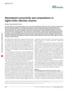 Stereotyped connectivity and computations in higher