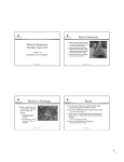 Lecture 13 pdf