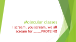 Molecular classes